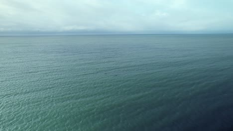 Aerial-following-dolphin-pod-swimming-in-ocean