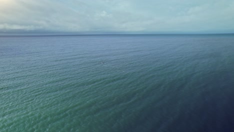 Aerial-following-dolphin-pod-swimming-in-blue-ocean