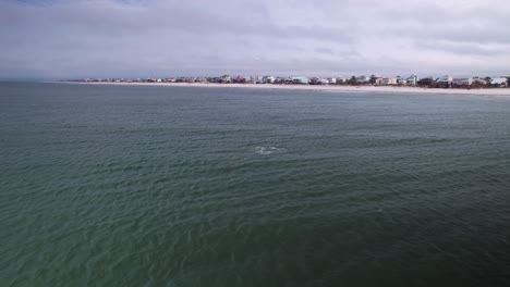 Antena-De-Delfines-Alimentándose-Frente-A-Playas-De-Arena-Y-Condominios-Frente-Al-Mar