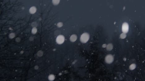 slow-motion-left-to-right-panning-shot-of-snow-falling-in-the-evening-with-snow-topped-trees-in-the-background