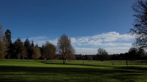 Farmleigh-House-Ist-Ein-Prächtiges-Georgianisches-Herrenhaus-Auf-78-Acres-Im-Westen-Von-Phoenix-Pk-Dublin