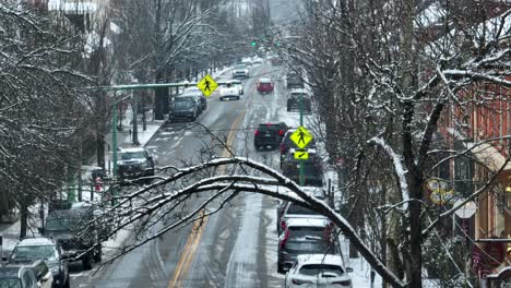 Zoom-Aéreo-Largo-De-Nieve-En-Rama-De-árbol-Con-Calle-Larga