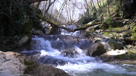 Flowing-river-in-in-the-country-side-of-Slovenia