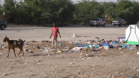 Junges-Mädchen-Vertreibt-Ziegen-Aus-Dem-Müllgebiet-An-Der-Straße-In-Einem-Vorort-Von-Nouakchott,-Mauretanien