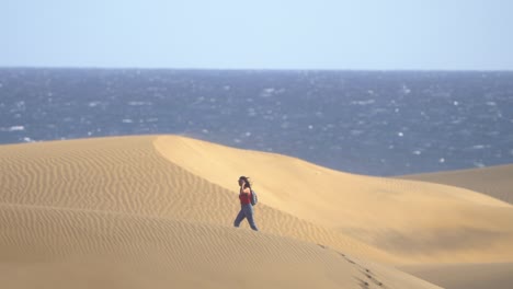 Dune-against-seascape,-desert-near-seashore