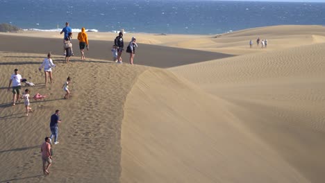 Düne-Gegen-Meereslandschaft,-Wüste-In-Küstennähe