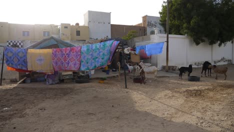 Rural-Suburbs-of-Nouakchott,-Mauritania
