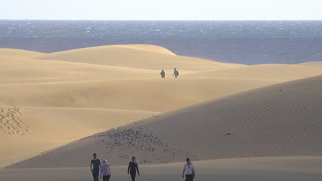 Dune-against-seascape,-desert-near-seashore