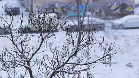 Bewölktes-Winterwetter-Und-Schneefall-In-Einer-Städtischen-Umgebung