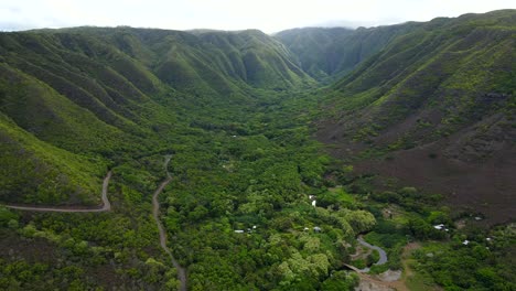 Aerial-tilt-up-reveal-of-sprawling-tropical-forest-in-Hawaii