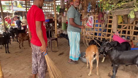 Typical-street-scene-in-Dhaka,-Bangladesh-with-locals-and-goats