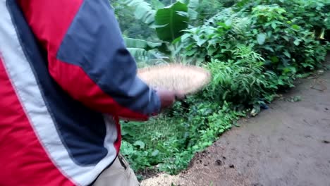 African-Chagga-tribe-man-sifting-coffee-beans-for-a-tourist-woman-while-other-sing-and-dance-in-Materuni-coffee-tour,-Tanzania