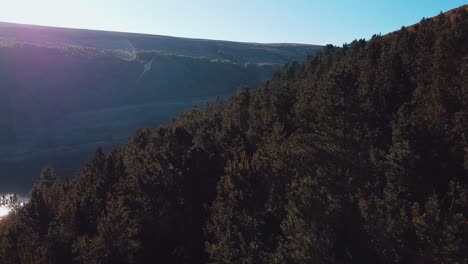 Drone-flying-over-pine-forest-near-a-reservoir-in-Yorkshire-England