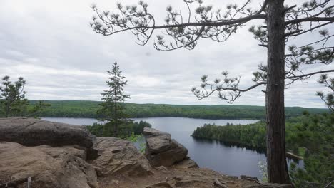 Lago-De-Pescado-Blanco-En-El-Parque-Provincial-De-Algonquin,-En-Mai