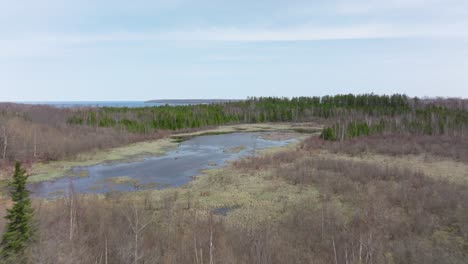 Klippen-Der-Bruce-Halbinsel,-Ontario,-Kanada-Im-Frühen-Frühling-Und-Huronsee,-Drohnenfliegen-über-Dem-Sumpf-Und-Den-Bäumen