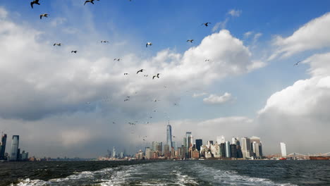 Herde-Von-Möwen,-Die-über-Dem-Hafen-Von-New-York-Fliegen,-Mit-Skyline-Von-Manhattan-In-Der-Ferne