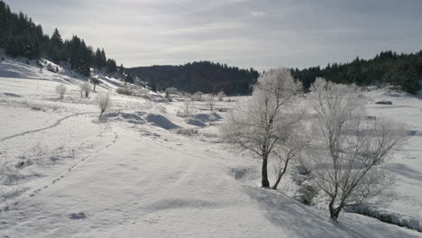 Landschaft-Im-Winter-Mit-Schnee-Und-Wunderschönen-Gefrorenen-Bäumen