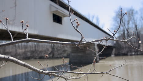 Exterior-of-Wooden-Covered-Bridge-with-Budding-Tree-Branch-in-Foreground