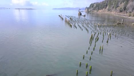 Fliegen-Durch-Solo-Baum-Auf-Felseninsel-In-Der-Bucht-Mit-Drohne-1080p