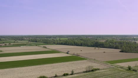 Aufnahme-Von-Flächenaufnahmen-Von-Menschen,-Die-Im-Frühjahr-Auf-Dem-Feld-Arbeiten,-Landwirtschaftliches-Feld-Mit-Viel-Weizen