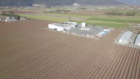 4K-Drohnenaufnahme-Einer-Beerenfarm