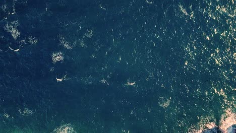 Straight-down-drone-shot-over-the-sea-showing-waves