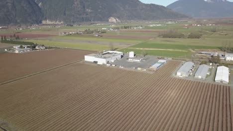 4K-Drohnenaufnahme-Einer-Beerenfarm