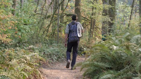 A-man-walking-through-a-wooded-path-in-the-forest
