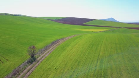 Drone-forward-shot-over-agricultural-landscape-with-green-fields-and-hills-in-Thessaly,-Greece