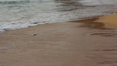 Waves-Pushing-Stones-at-Beach