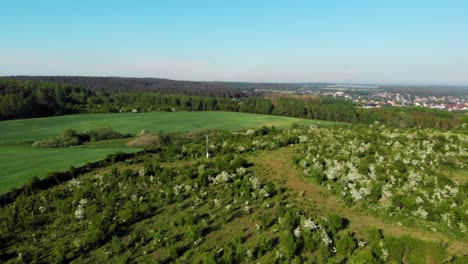 Aerial-pan-shot-of-meadow-in-pomeranian-district-in-Poland