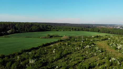 Aerial-crane-shot-of-a-meadow-in-pomeranian-district-in-Poland