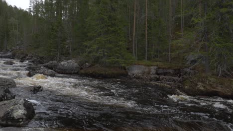 Fließender-Fluss-Im-Wald
