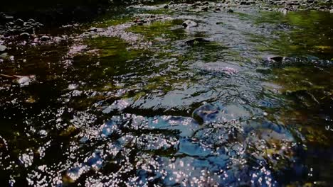 Die-Friedlichen-Wasser-Des-Moorman-River-In-Albemarle-County,-Virginia,-Fließen-Während-Der-Herbstsaison-Sanft-Flussabwärts