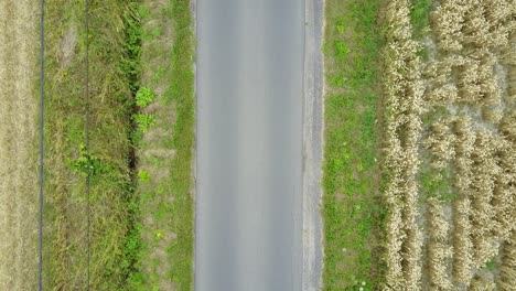 Topshot-Eines-Radrennfahrers-Auf-Der-Straße,-Gefolgt-Von-Einem-Auto