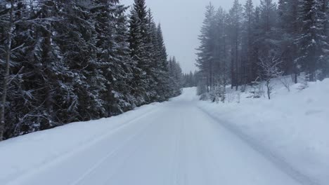 Luftaufnahme-Von-Einer-Verschneiten-Straße-In-Einem-Schweren-Schneesturm-In-Einem-Wald