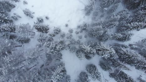 Aerial-overhead-shot-of-a-forest-during-a-heavy-snow-storm