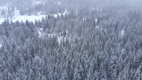 Aerial-shot-agains-snowflakes-during-a-snow-storm-in-a-forest