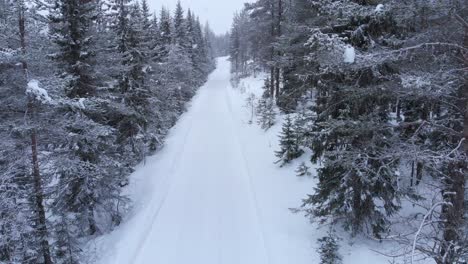 Aerial-descending-shot-with-tilt-up-on-a-snowed-road-in-the-middle-of-a-snowed-forest