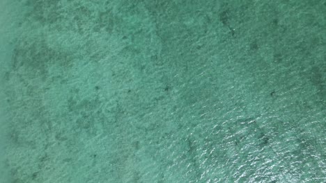 Top-down-view-from-a-drone-of-shallow-ocean-water