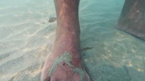 Unterwasser-POV-In-Zeitlupe-Von-Winzigen-Hungrigen-Fischen,-Die-Menschliche-Beine-Und-Füße-Im-Meerwasser-Fressen-Und-Peelen