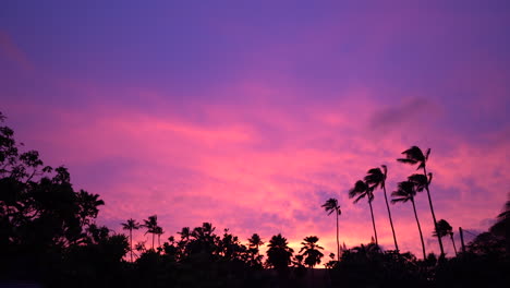 Atemberaubender-Sonnenuntergang-über-Silhouette-Palme