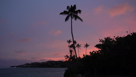 Atemberaubender-Sonnenuntergang-über-Schattenbildpalme-Und-Tropischem-Strand