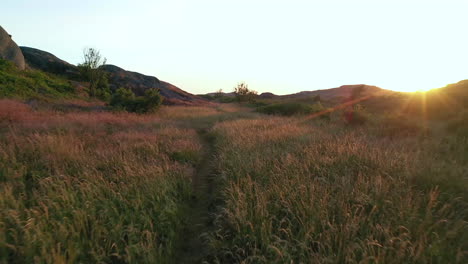 An-aerial-shot-following-a-path-going-through-high-grass-and-ending-up-in-a-rocky-bay-during-a-sunset
