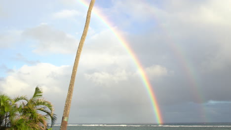 4K,-Panning-view-of-a-complete-rainbow-in-the-sky-from-the-palm-tree-to-the-ocean-side