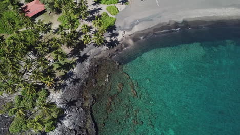 Crystal-clear-water-at-black-sand-beach-lined-with-palm-trees-on-big-island,-hawaii