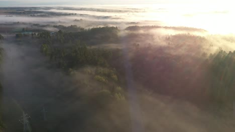 Drone-aerial-view-of-fog-over-the-forest