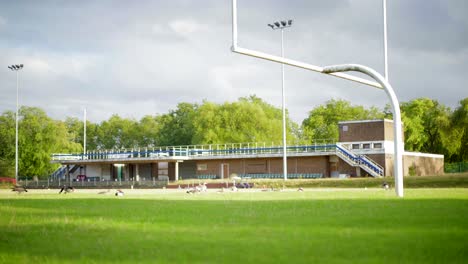 Campo-De-Rugby-Y-Fútbol-Vacío-En-Un-Pequeño-Estadio-Abandonado-Invadido-Por-Patos,-Gansos-Y-Vida-Silvestre,-Escena-Vacía