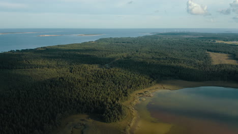 Aerial-shot-of-forests-and-the-ocean-with-windmill-power-plants-in-the-distance