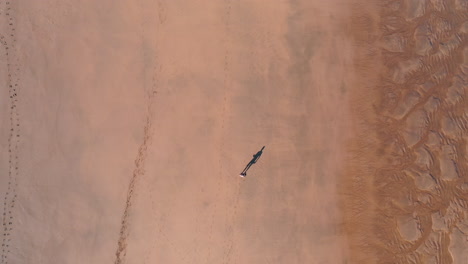 Top-down-aerial-drone-of-a-person-walking-along-a-beach-during-low-tide-casting-a-long-shadow